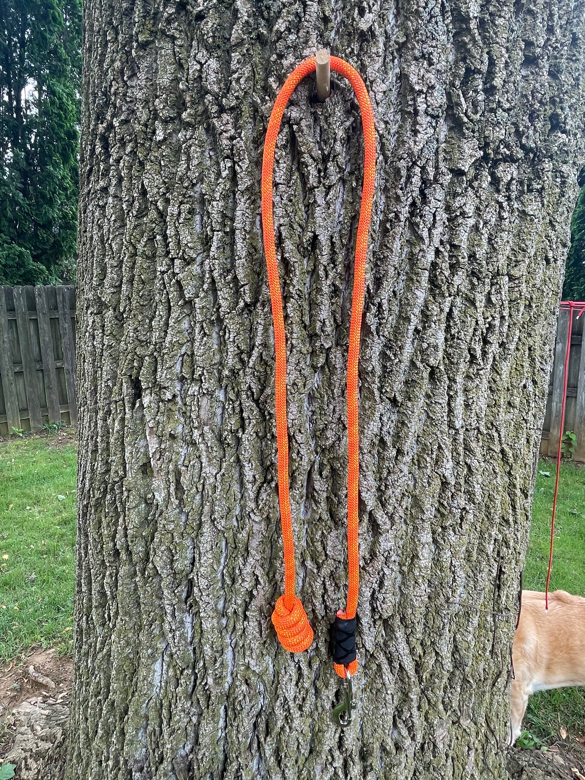 Sera 1 - 4.5' Leash Scaffold Knot User End/ Heavy Duty Swivel Clasp
